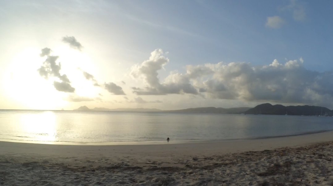 Plage M